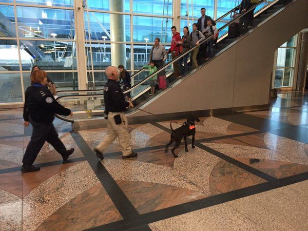 Evacuan aeropuerto de Denver por posible amenaza de seguridad - aeropuerto-denver-4