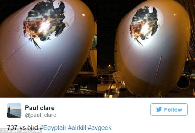 Choque con ave deja inmenso agujero en nariz de avión - agujero-avion-3