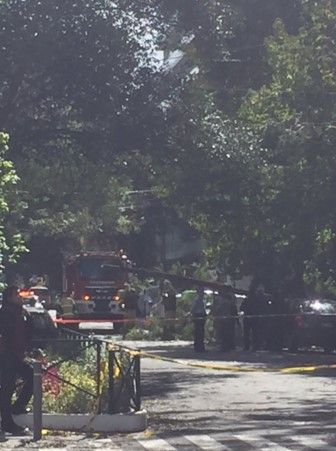 Al menos 600 árboles caídos por el viento - arbol-caido-laucaba