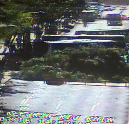 Al menos 600 árboles caídos por el viento - arbol-caido-ovialcdmx2