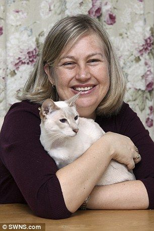 Gato sobrevive 8 días en caja de correo - cupcake-2