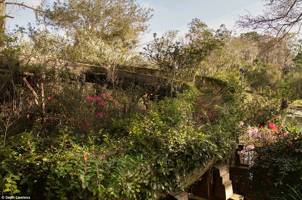 El parque de Disney abandonado desde hace 15 años - disney-abandonado-1