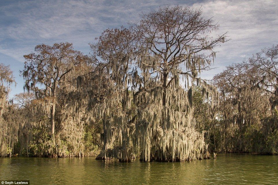 El parque de Disney abandonado desde hace 15 años - disney-abandonado-13