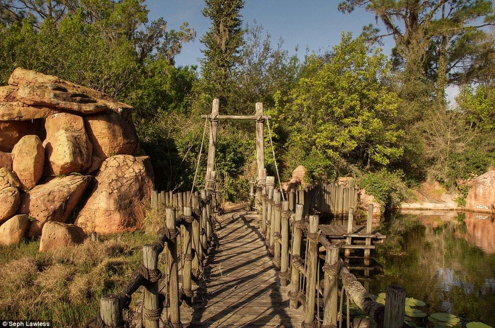 El parque de Disney abandonado desde hace 15 años - disney-abandonado-18