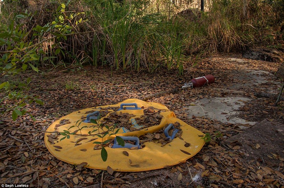 El parque de Disney abandonado desde hace 15 años - disney-abandonado-23
