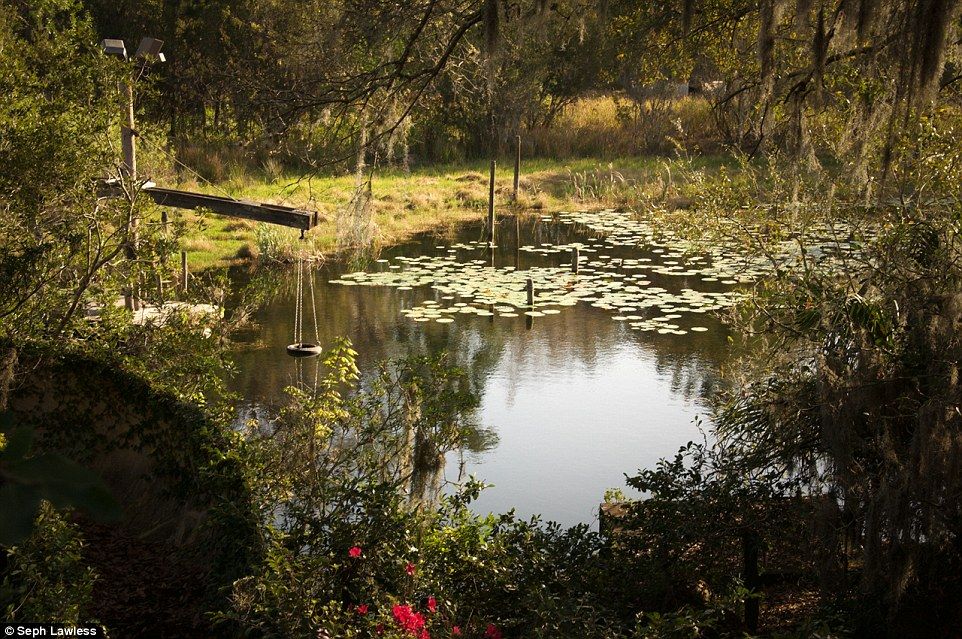 El parque de Disney abandonado desde hace 15 años - disney-abandonado-25