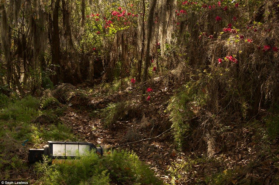 El parque de Disney abandonado desde hace 15 años - disney-abandonado-9