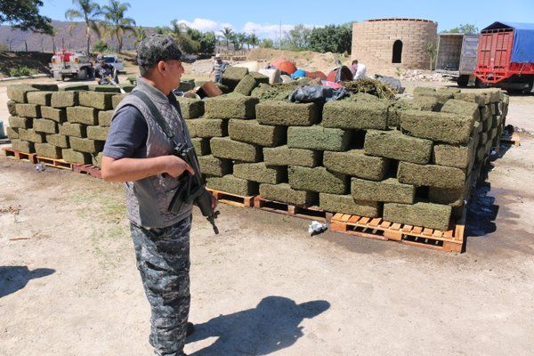 Incineran casi 8 toneladas de estupefacientes en Jalisco - droga-jalisco-2
