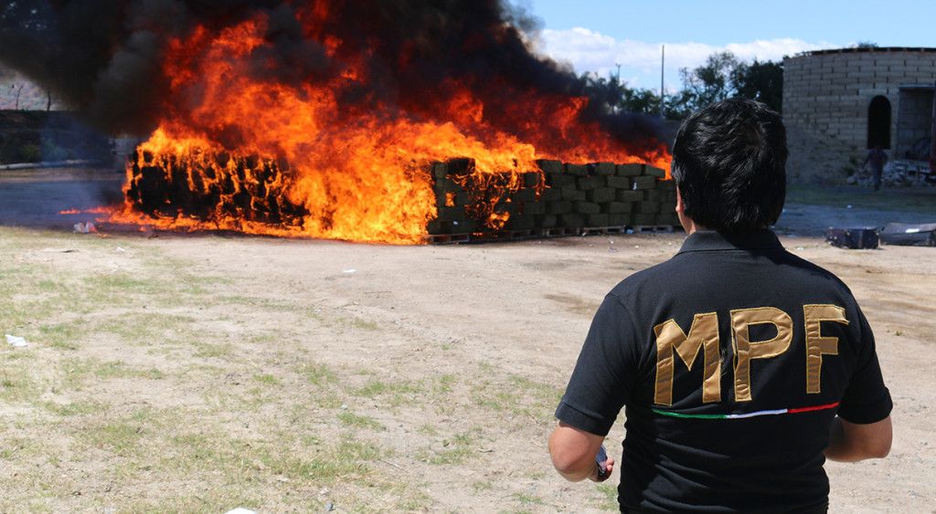 Incineran casi 8 toneladas de estupefacientes en Jalisco - droga-jalisco-3-1024x563