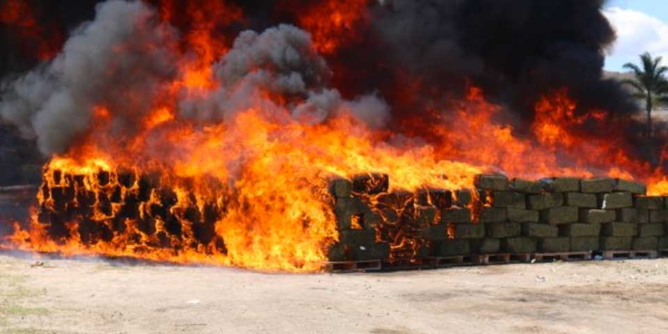 Incineran casi 8 toneladas de estupefacientes en Jalisco
