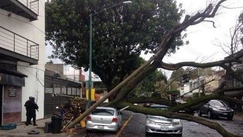 ¿Qué hacer ante los fuertes vientos?