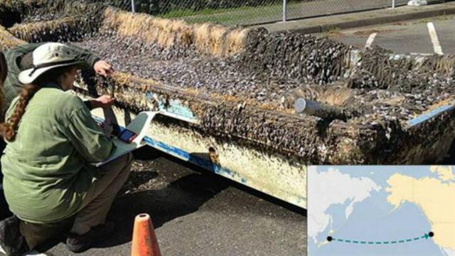 Cinco objetos japoneses que el tsunami de 2011 llevó hasta América - lancha