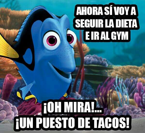 Celebran Día del Taco con memes - meme-tacos11