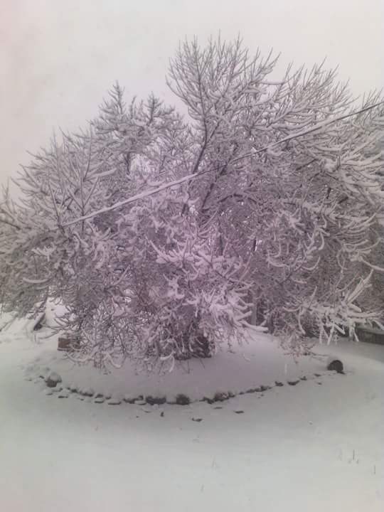 Tormenta invernal causa nevadas en 15 municipios de Chihuahua - nevada-chihuahua-1