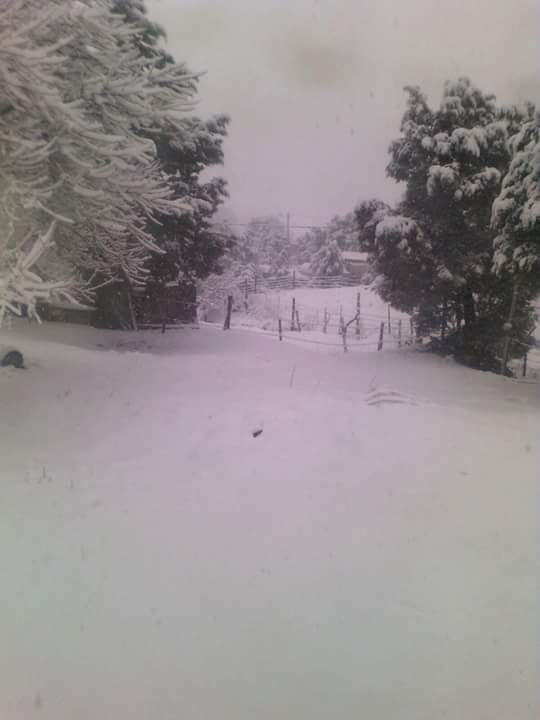 Tormenta invernal causa nevadas en 15 municipios de Chihuahua - nevada-chihuahua-4