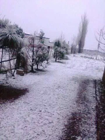 Tormenta invernal causa nevadas en 15 municipios de Chihuahua - nevada-yecora-sonora