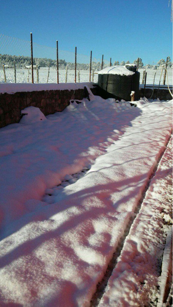 Nevadas en Chihuahua, Sonora, Zacatecas, y Nayarit - nevadas-Guadalupe-chihuahua