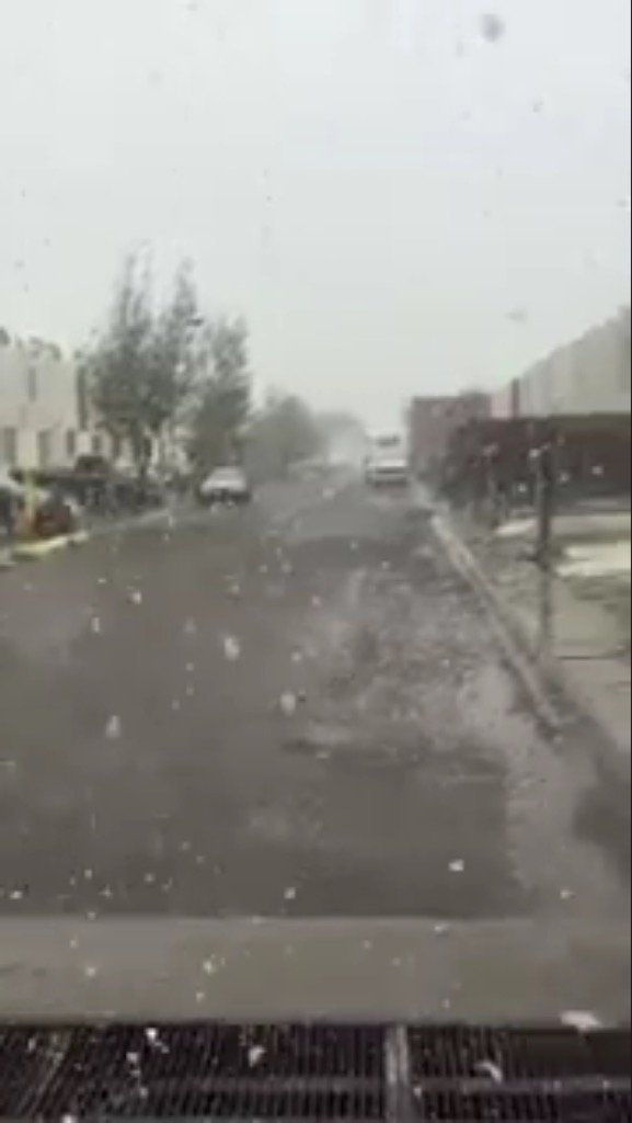 Nevadas en Chihuahua, Sonora, Zacatecas, y Nayarit - nevadas-zacatecas-2