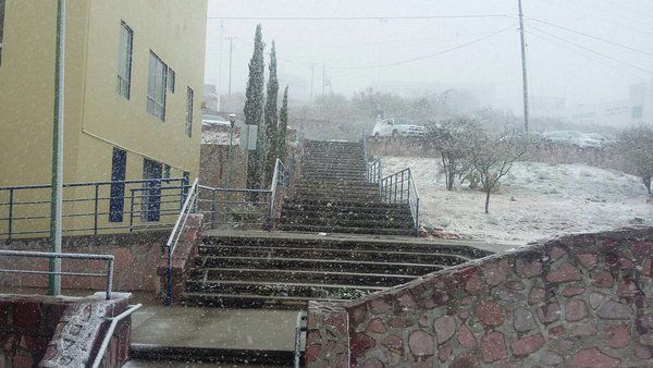 Nevadas en Chihuahua, Sonora, Zacatecas, y Nayarit - nevadas-zacatecas-4