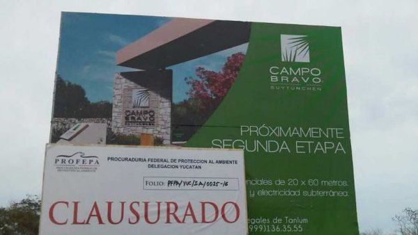 PROFEPA detiene construcción en selva de Yucatán - predio-yucatan-1