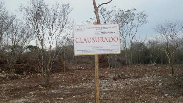 PROFEPA detiene construcción en selva de Yucatán