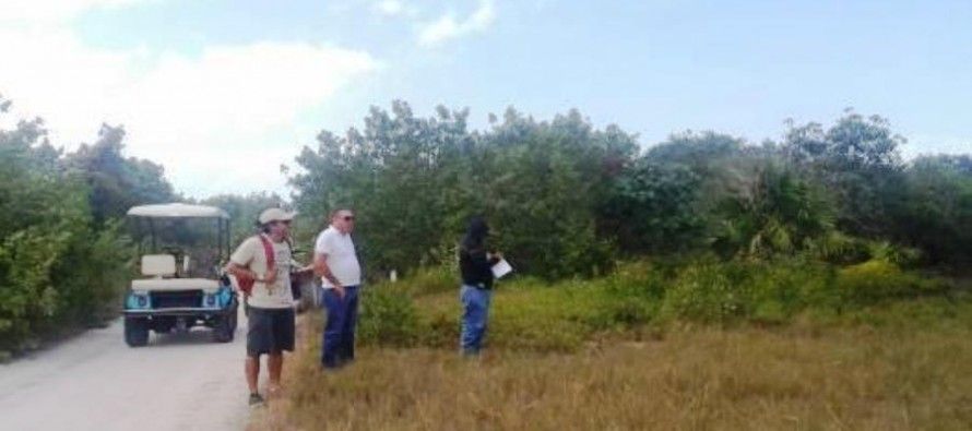 Clausuran predios en Quintana Roo por daño a manglares y palmeras