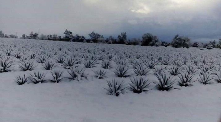 Bajarán temperaturas este viernes en el Valle de México - tequila-jalisco-nieve-chematierra