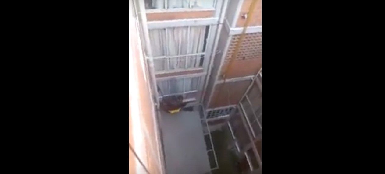 Video: rescatan a niños abandonados en la Ciudad de México