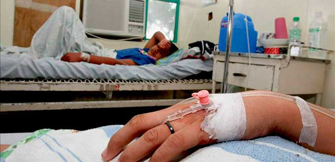 Mosquito común podría transmitir el Zika - zika-guillain-barre