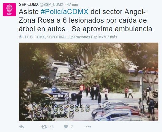 Cae árbol en la colonia San Rafael: seis heridos - árbol