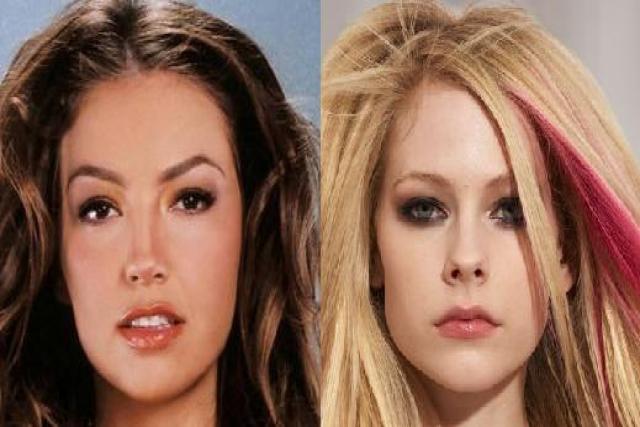 ¿Qué es la enfermedad de Lyme? - 2759425_640px