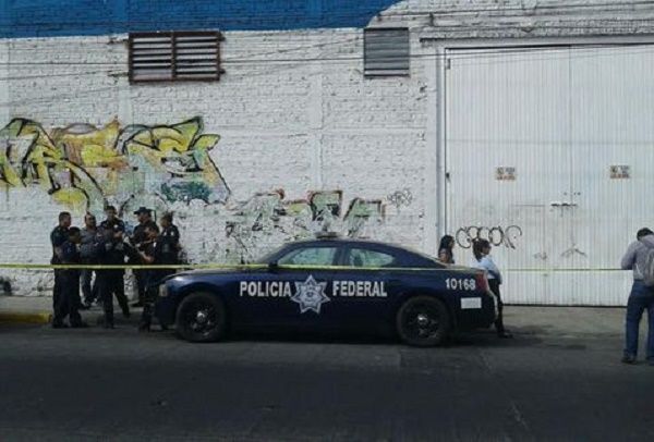 Policía Federal y Fiscalía catean finca en Guadalajara