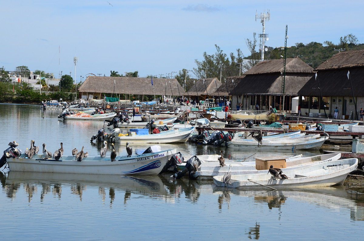 SEMAR rescata cuerpos de pescadores desaparecidos en Campeche - Campeche-Foto-de-Tribuna-Campeche