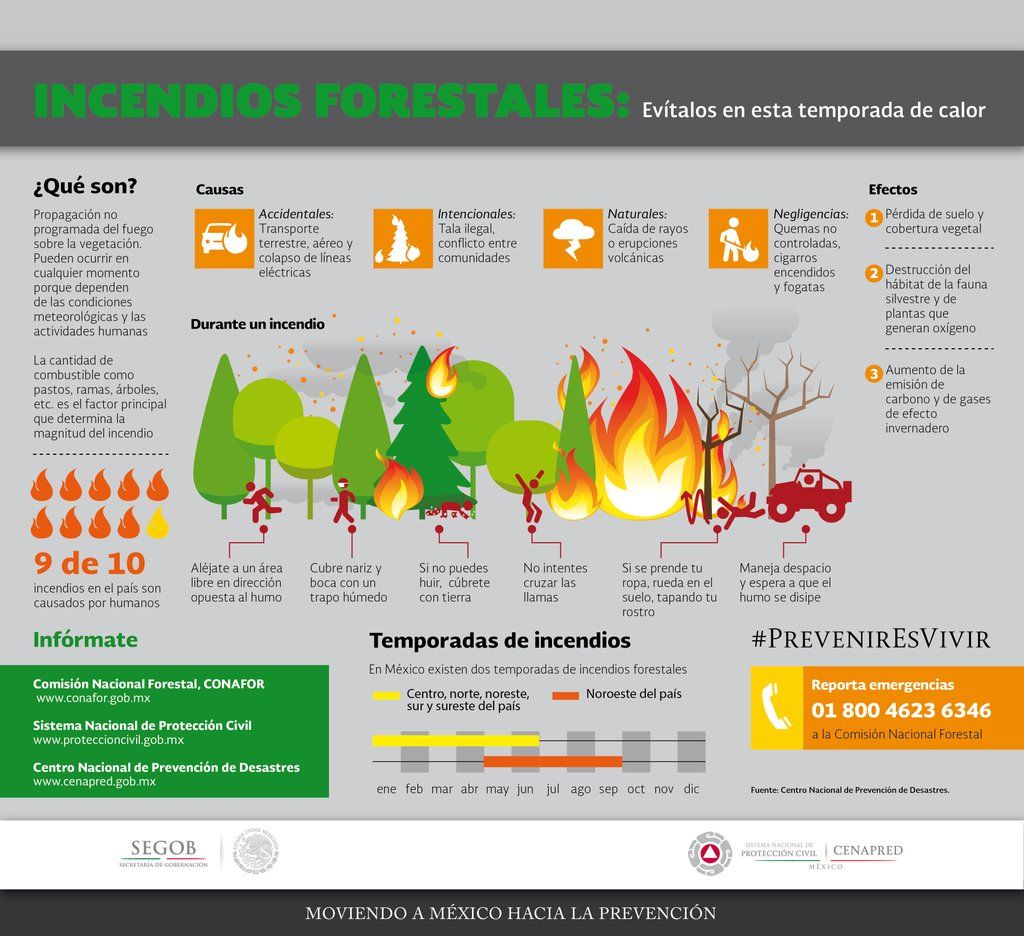 Nueve de cada diez incendios forestales son causados por seres humanos: SEGOB - CfhwY8qUUAAVEvZ.jpg-large