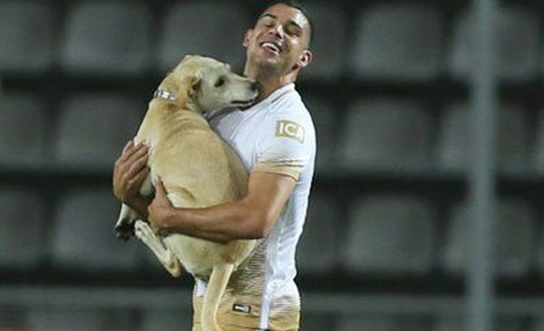 Pumas cae en Venezuela - ChBCkTKU8AAdzIP