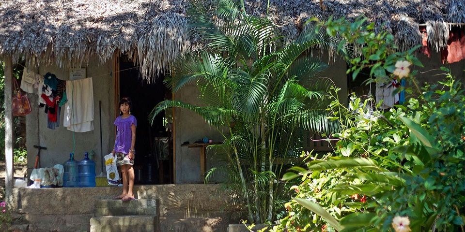 El Chagas, la enfermedad olvidada El Chagas, la enfermedad olvidada