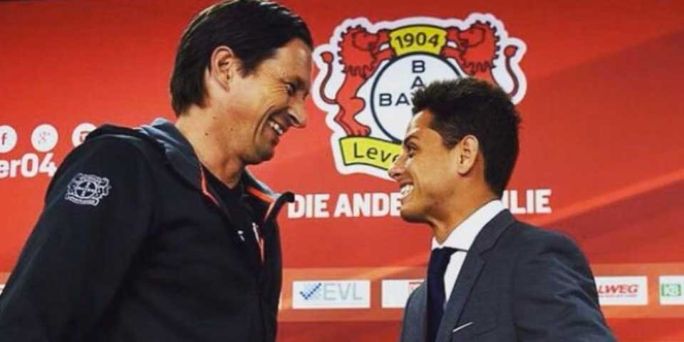 ‘No hay muchos como Chicharito’: técnico del Leverkusen