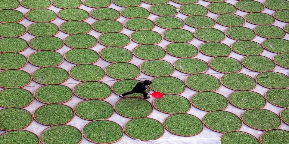 Galería: las fábricas que alimentan a toda China