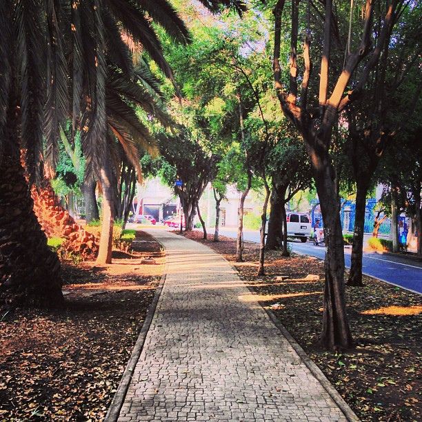 Vecinos reportan incremento de robos en la Condesa - Condesa-Flickr