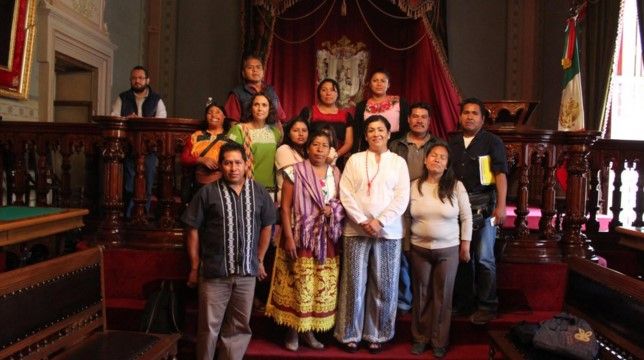 Indígenas deberían seguir cortando sus nopalitos: diputada del PRI