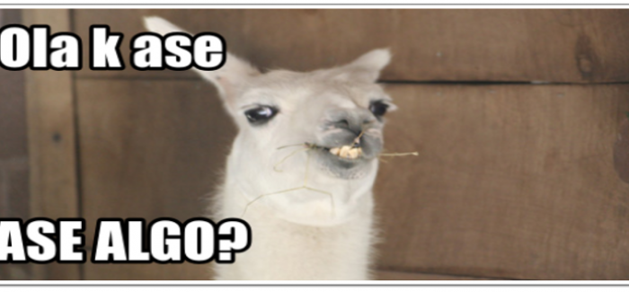 Los errores de ortografía más comunes - El-torcido-origen-del-meme-Ola-k-ase-700x325