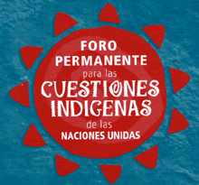 Mexicano obtiene lugar en foro indígena de la ONU - Foto-indigena-ONU