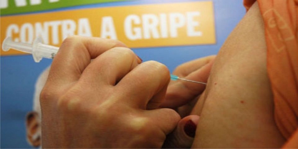 Golpea epidemia de gripe porcina a Brasil