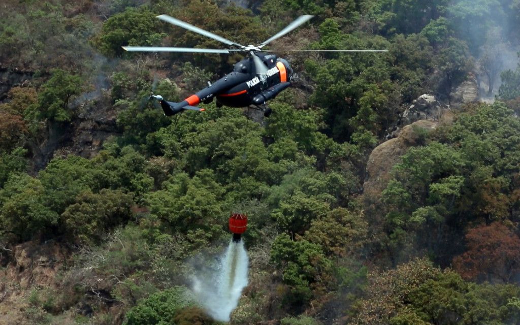 Incendio consumó 244 hectáreas del Tepozteco: Conafor - INCE01-1024x640