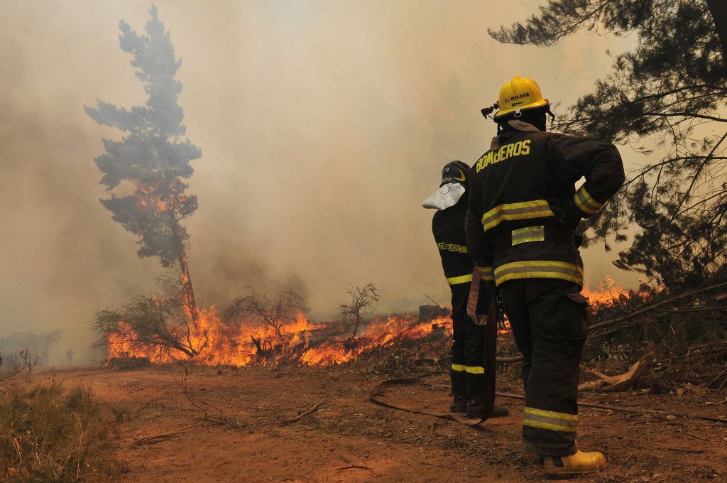 Nueve de cada diez incendios forestales son causados por ...