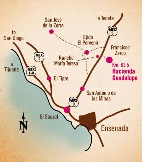 Detienen a indigente presunto responsable del homicidio de cinco personas - Mapa