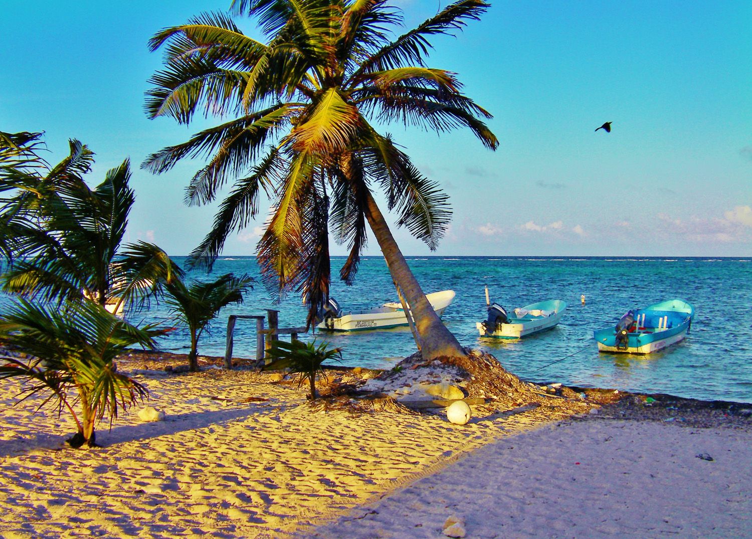 PROFEPA clausura construcción sobre dunas en Quintana Roo