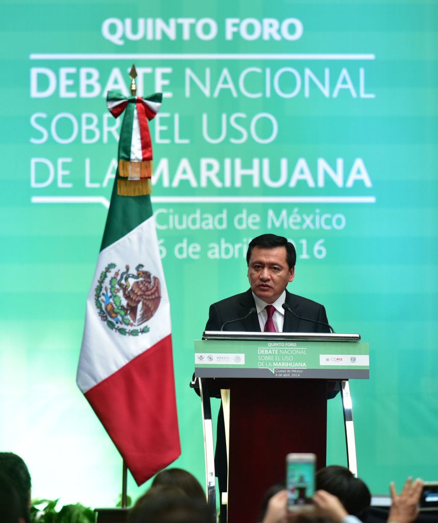 Gobierno federal emitirá en breve postura sobre mariguana - RRM_0213-858x1024