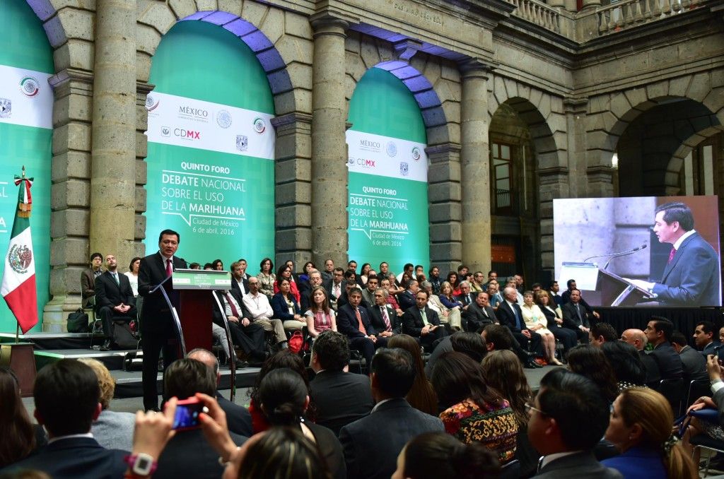 Gobierno federal emitirá en breve postura sobre mariguana - RRM_0305-1024x678