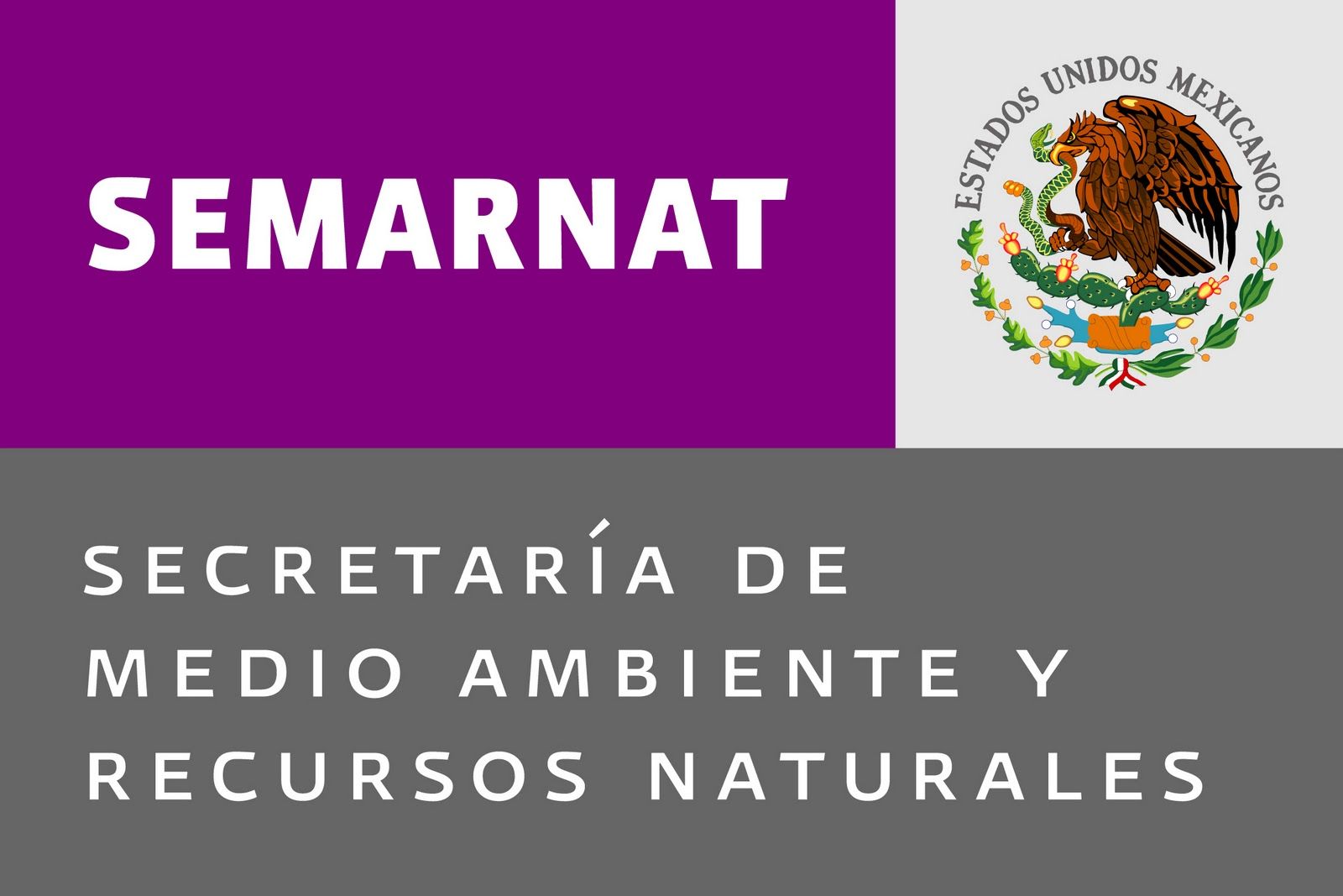PROFEPA clausura construcción sobre dunas en Quintana Roo - SEMARNAT